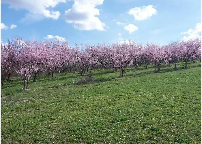 Gretel Comfortable Casa de Férias